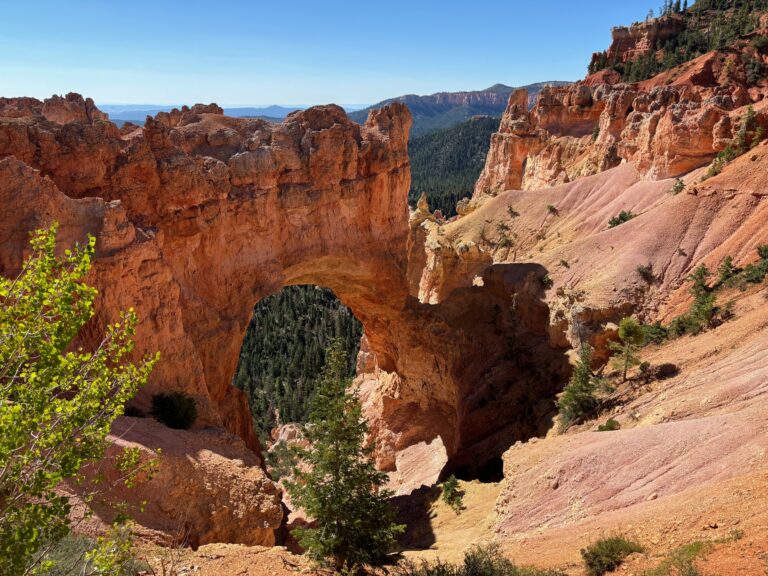 Arco naturale di roccia rossa nel parco di Bryce Canyon con vegetazione verde circondato da hoodoos