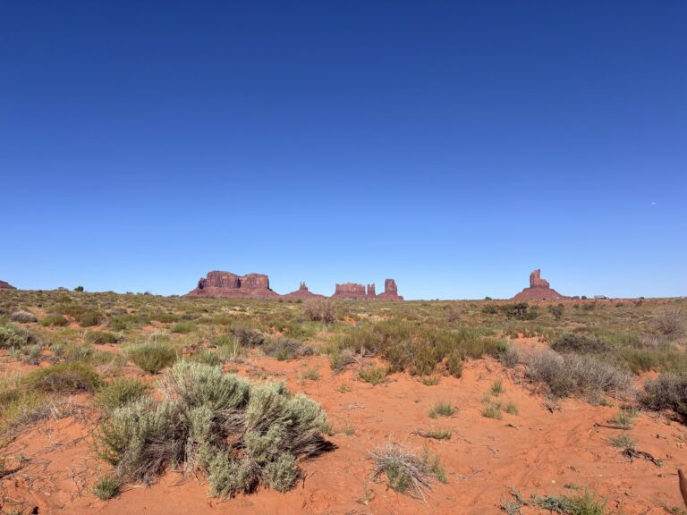 Monument Valley con arbusti deserticii nel primo piano e buttes rossi sullo sfondo sotto cielo azzurro