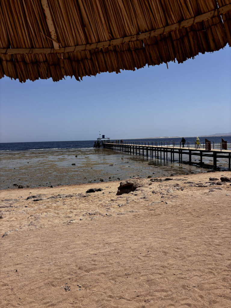 Banchina per snorkeling del Gran Plaza Resort a Sharm El Sheikh, con vista sul Mar Rosso e ombrellone di paglia in primo piano